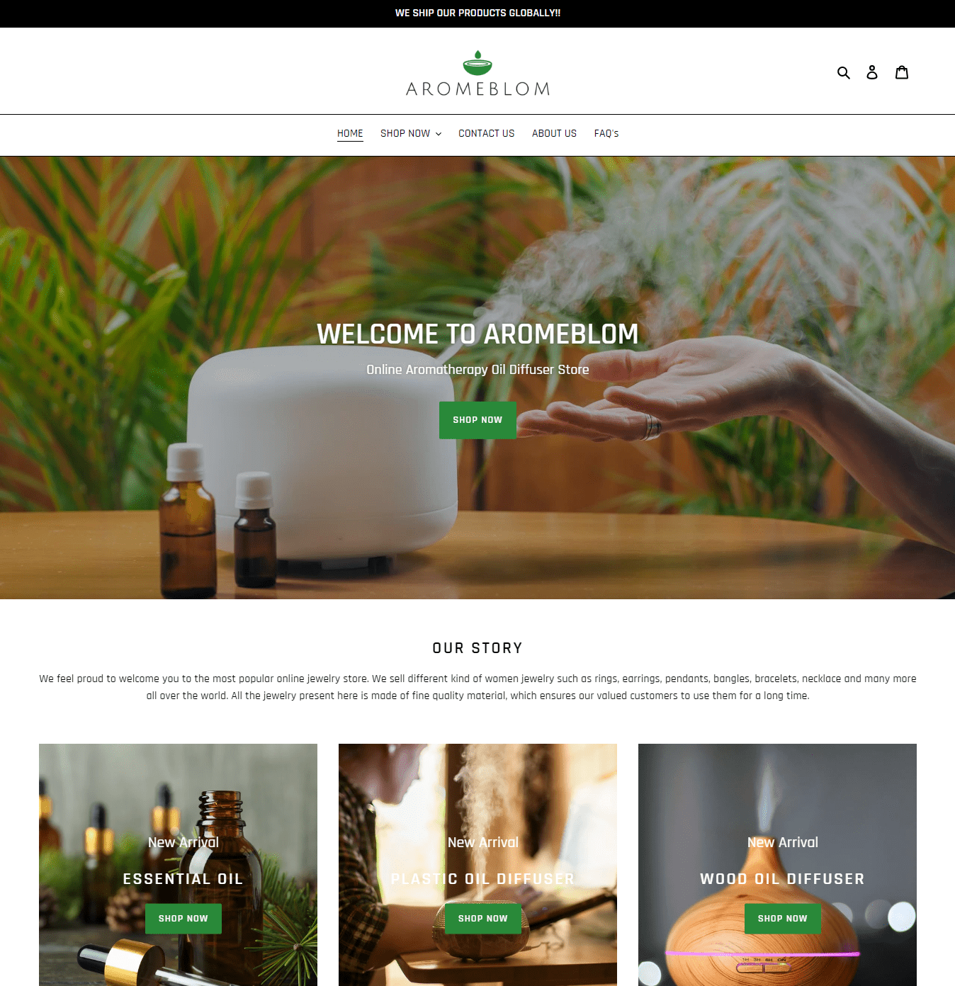 Shopify Dropshipping Store For Sale