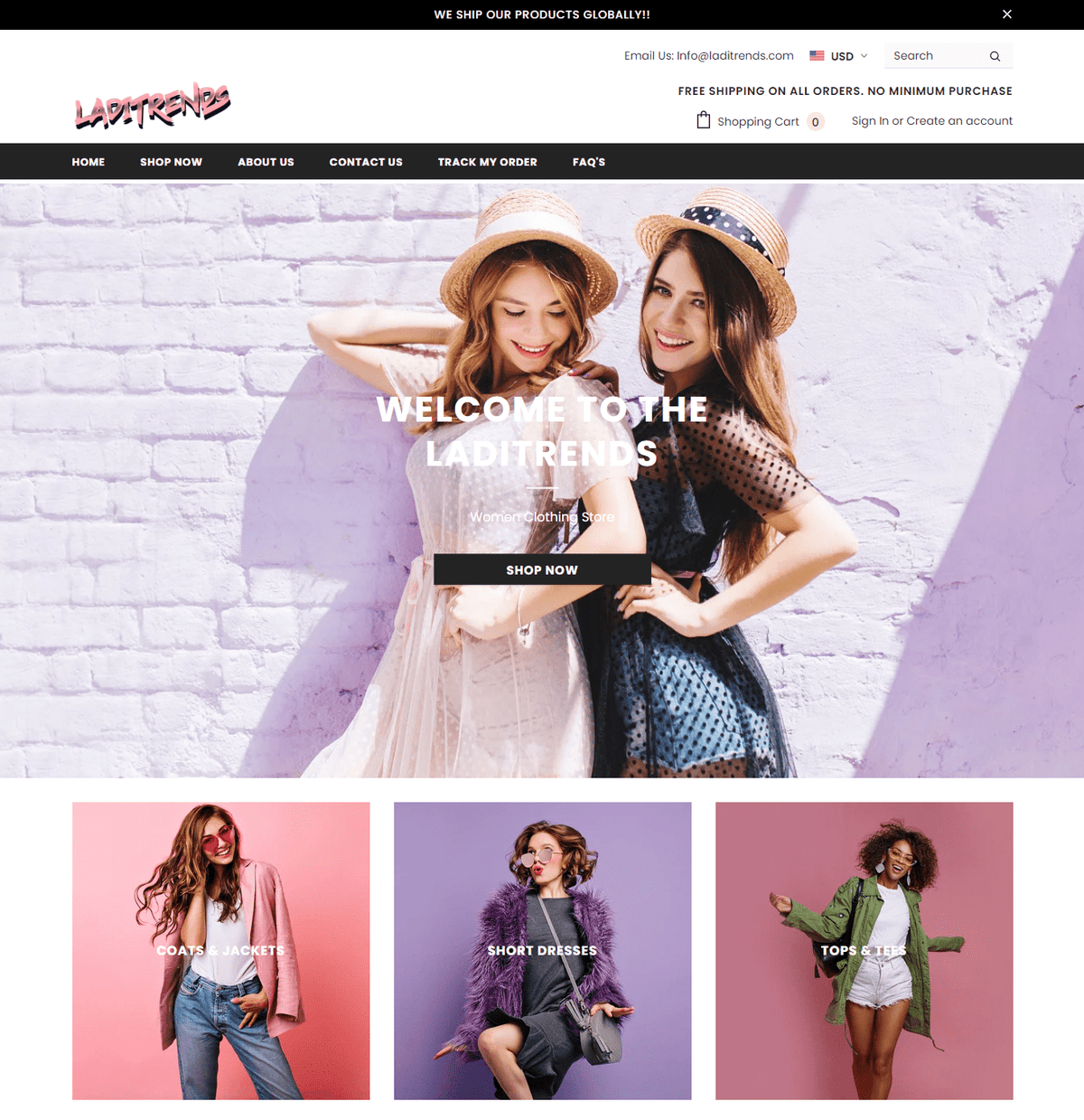 Shopify Dropshipping Store For Sale